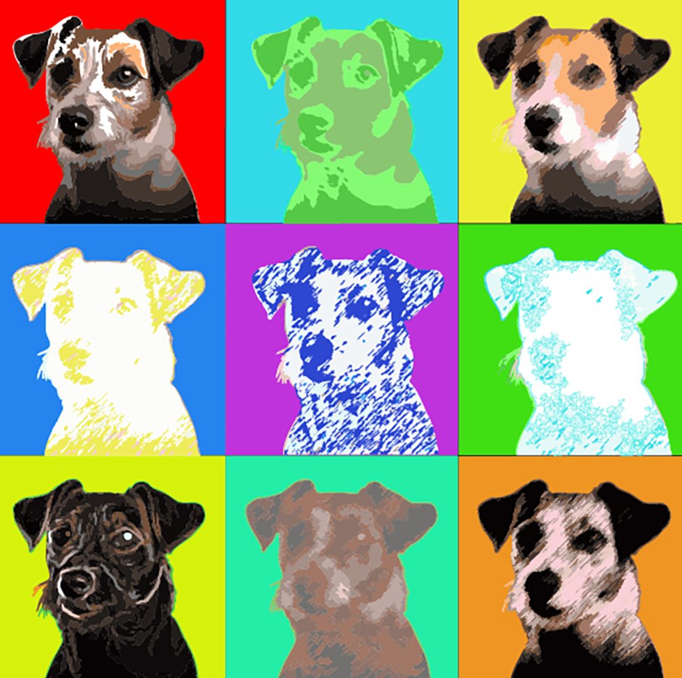 Jack Russell-01 copy2
